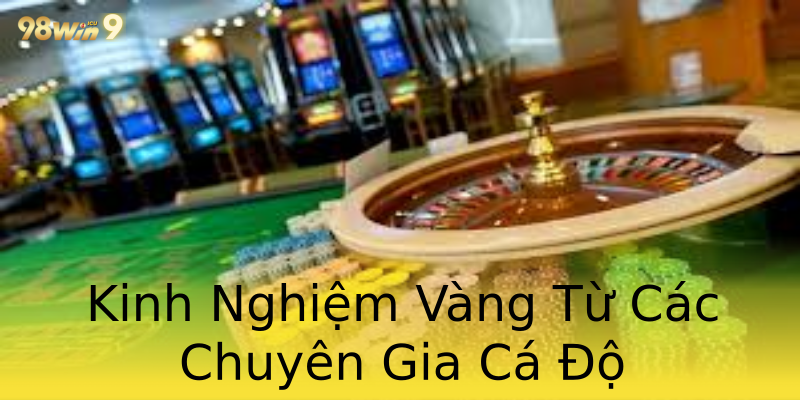 Kinh Nghiệm Vàng Từ Các Chuyên Gia Cá Độ Kinh Nghiệm Vàng Từ Các Chuyên Gia Cá Độ