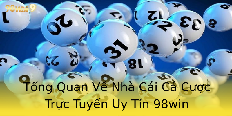 Tổng Quan Về Nhà Cái Cá Cược Trực Tuyến Uy Tín 98win Tổng Quan Về Nhà Cái Cá Cược Trực Tuyến Uy Tín 98win